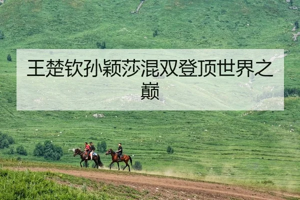 王楚钦孙颖莎混双登顶世界之巅
