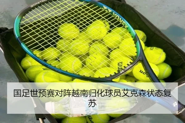 国足世预赛对阵越南归化球员艾克森状态复苏