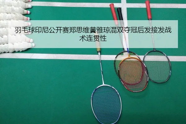 yu-mao-qiu-yin-ni-gong-kai-sai-zheng-si-wei-huang-ya-qiong-hun-shuang-duo-guan-hou-fa-jie-fa-zhan-shu-lian-guan-xing-2-425.jpg